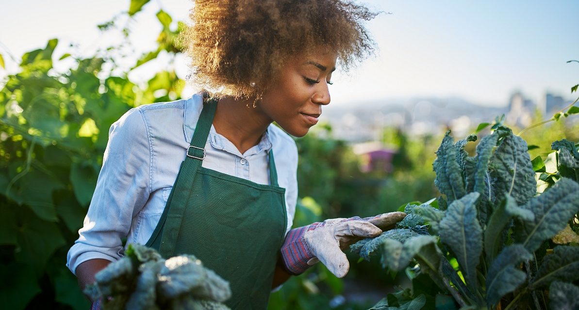 Ron FINLEY: Le développement via le Jardinage