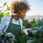 Ron FINLEY: Le développement via le Jardinage