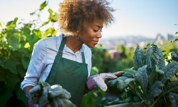 Ron FINLEY: Le développement via le Jardinage